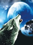 Ladybird Howling Wolf Cross Stitch Kit 18.25 x 25 Inch Complete Kit for Square Embroidery Picture, Craft Hobby for Adults and Children Aged 8+