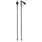 HEAD Unisex Adult Frontside Black White Ski Poles, Black/White, 110 cm