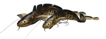 Savage Gear 3D LT Burbot 36cm 210gr FS