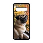 Hund Mops Samsung Galaxy S10+ Mobiltelefon Skal