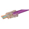 TELEVES Televes Connector Data RJ45 Male CAT6 UTP 209906