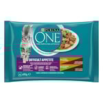 PURINA ONE Difficult Appetite - Ekonomipack: Kyckling & kalkon 16 x 85 g