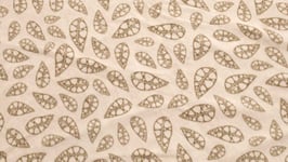 Robens - Fleece Carpet Klondike Grande tältmatta - Sand & Green - OneSize