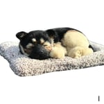 Lovely Simulation Animal Labrador/husky Doll Plush Toy Kids I Black Poodle