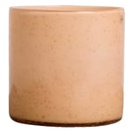 Calore ljuslykta medium, peach