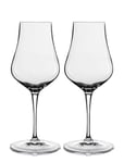 Spirits/Snifterglas Vinoteque Home Tableware Glass Liqueur Glass Nude Luigi Bormioli
