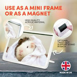 Classic Magnet With Stand - Bath Time Guinea Pig #44231