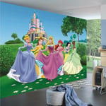 Ag Art - Papier peint xxl intisse Château Princesse Disney 360X270 cm