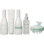 Björn Axén Ultimate Scalp Kit Shampoo250 ml + Detox Scrub 150 ml + Conditioner 250 ml + Hair & Scalp Serum 60 ml + Scalp Massage Brush