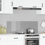 Kök Backsplash Ljusgrå 120x40x0,6 cm Härdat Glas
