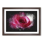 Big Box Art Pink Rose Flower Vol.7 Paint Splash Framed Wall Art Picture Print Ready to Hang, Walnut A2 (62 x 45 cm)
