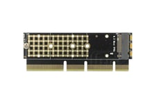 Delock PCI Express x16 (x4 / x8) Card to 1 x NVMe M.2 Key M for Server - lagringskontrol - M.2 Card - PCIe 3.0 x16