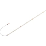 Grazia LED Strip vit 24W 3300lm 2700K CRI80 5M 24V IP20