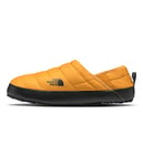 THE NORTH FACE North Face M Thermoball Traction Mule V, Chaussure d'athlétisme, Summit Gold/TNF Black,