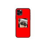 Black tpu case for iphone 5 5s se 6 6s 7 8 plus x 10 cover for iphone XR XS 11 pro MAX case funy cute lovely cat kitty meow pet-40803-for iphone 6 6s