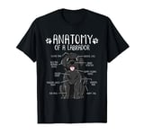 Funny Anatomy Labrador Retriever Black Lab Dog Owner T-Shirt