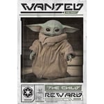 - Star Wars: The Mandalorian (Wanted Child) MaxPlakat Plakat
