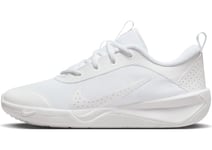 Nike Omni Multi-Court Little Kids' Shoes, White White Pure Platinum, 34 EU