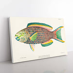 Big Box Art Tropical Fish by Henry Baldwin Canvas Wall Art Print Ready to Hang Picture, 76 x 50 cm (30 x 20 Inch), White, Green, Gold, Brown, Yellow