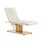 physa Behandlingsbänk - elektrisk 3 motorer 300 W 190 x 65 60 76 cm 200 kg Creme / guld
