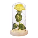 Uonlytech Enchanted Rose in Glass Dome with Lights, Beauty and the Beast Rose Artificial Flowers, Forever Rose for Valentines Day Mothers Day Anniversary Wedding Gifts, Yellow