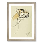 Big Box Art Study of A Tiger Vol.2 by John Macallan Swan Framed Wall Art Picture Print Ready to Hang, Oak A2 (62 x 45 cm)