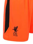 New Balance Liverpool FC 2017/18 Third Shorts Junior Size UK SB 21 - 22" Waist