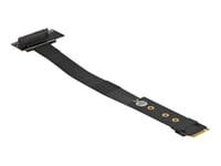 Delock - Gränssnittsadapter - U.2 Nvme - M.2 Card