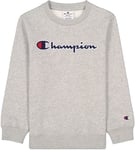 Champion Rochester Crewneck Sweatshirt Junior