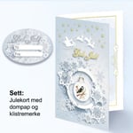 Julekort med Dompap og klistermerke - 1810270