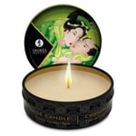 Shunga Mini Massage Candle Green Tea - 30 ml