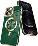BOUFE Coque de Protection magnétique pour iPhone 13 promax (6,7") Compatible avec Le Chargement sans Fil MagSafe - Joli Papillon - pour Femmes, Filles, Hommes - Vert