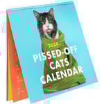2024 Rolig väggkalender med arga katter Pissed Off Cats H A 1PC