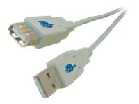 MicroConnect - USB-förlängningskabel - USB (hane) till USB (hona) - 1 m