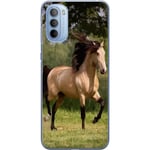 Motorola Moto G31 Transparent Mobilskal Häst