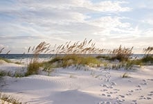 Scenolia Tapisserie Toile Textile Plage et Dune de Sable Blanc 4 x 2,70m - Décoration Murale Effet Trompe l’Oeil - Revêtement Panoramique Poster XXL - Pose Facile et Qualité HD