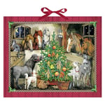Horse Christmas - Christmas at the Stables Coppenrath Advent Calendar 57 x 47 cm