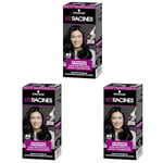 Schwarzkopf - Kit Racines - Coloration Racines Cheveux Permanente - Enrichie d’une huile nourrissante - Couverture Cheveux Blancs - Retouche entre 2 Colorations - Noir R5, 1 Unité (Lot de 3)