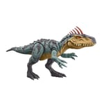 Mattel Jurassic World Neovenator Méga Action Figurine articulée de dinosaure, jouet grande espèce, attaque par morsures, crête évolutive, jeu numérique HTK78