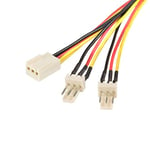 StarTech.com Câble d'alimentation en Y pour ventilateur Molex de 30 cm - Câble répartiteur 1x TX3 (F) vers 2x TX3 (M) (TX3SPLIT12)