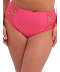 Elomi Womens Charley High Rise Brief Honeysuckle - Pink Cotton - Size Medium