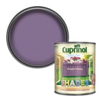 Cuprinol 5232364 CUPGSPP1L 1 Litre Garden Shades Paint - Purple Pansy