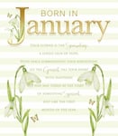 Born In January Birthday Card Female - Foil - Premium Quality - Cherry Orchard