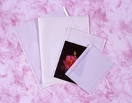 Kenro Clear Fronted Bag for Photo Storage 10.5x14" Inch Pack of 500 - NB024