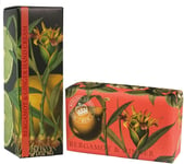 Royal Botanic Gardens KEW Hand Cream & Shea Butter Gift Set - Bergamot & Ginger