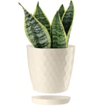 ORTEN Plant Pot Indoor Plastic Flower Pots with Saucers House Plants, Herbs, Cactus, Orchid, Set of 1 (Ø 18cm (7.08 in), Ecru)