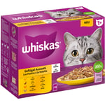 Whiskas 1 + porsjonsposer 12 x 100/85g - Fjærkreutvalg i gelè (12 x 85 g)