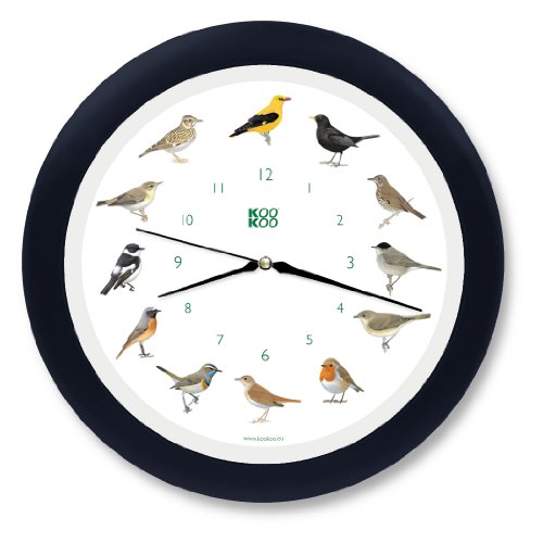 Horloge Murale Silencieuse Coloray Sur Toile - 60x30cm - Oiseaux Et Animaux Sauvages