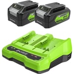 Greenworks Batteries 24V et Chargeur Double Fente - Deux Batteries 4Ah, Batterie Rechargeable pour Tous Appareils Greenworks 24V, Sortie 48W Tension 4A Charge Une Batterie en 60 Min - G24B4 & G24X2C
