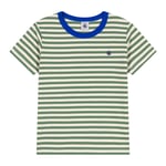Petit Bateau T-shirt I Bomull Palmeraie Avalanche | Grön | 4 years